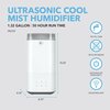 Ultrasonic Cool Mst Hmdfr 1.3Gal PAU132
